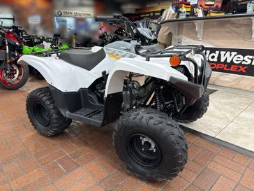 2024 Yamaha GRIZZLY 90 