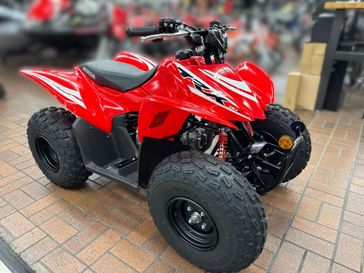 New 2025 Honda TRX90X 