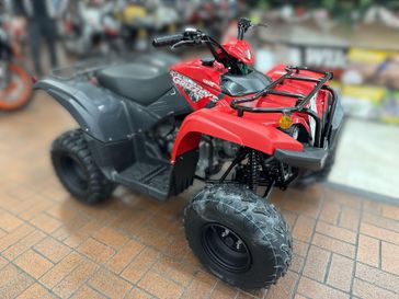 New 2025 Yamaha Grizzly 110 