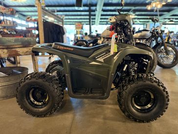 New 2025 Denago Powersports E-Hawk 6 