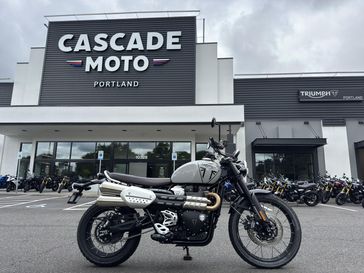 2024 Triumph Scrambler 1200 X - ASH GREY 