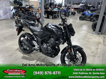 2025 Yamaha MT-03 