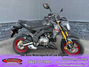 2024 Kawasaki BR125JRFAL-GY2  in a CYPHER CAMO GRAY (MATTE)/METALLIC MATTE CARBON GRAY exterior color. Del Amo Motorsports of Los Angeles (562) 262-9181 delamomotorsports.com 