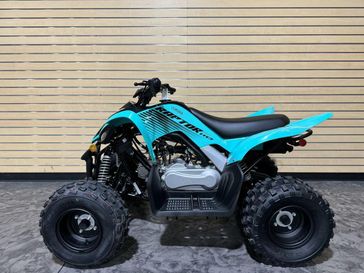 2025 Yamaha Raptor 110 