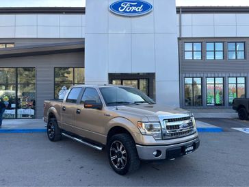 Used 2014 Ford F-150 XLT
