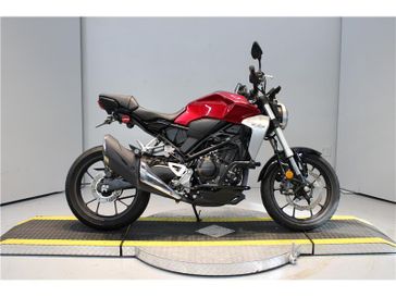 2019 Honda CB300R in a RED exterior color. New England Powersports 978 338-8990 pixelmotiondemo.com 