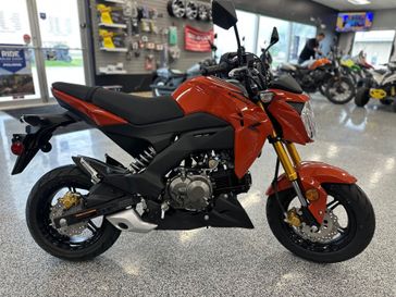 New 2025 Kawasaki Z125 Pro 
