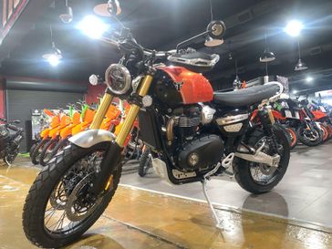 2025 Triumph SCRAMBLER 1200 XE 