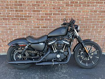 Used 2022 Harley-Davidson Sportster 883 Iron 