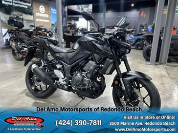2025 Yamaha MT-03 