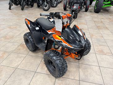 New 2026 Kayo STORM 70 