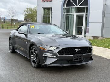 2019 Ford Mustang Gt Premium