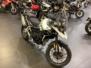 2024 Triumph Tiger 900