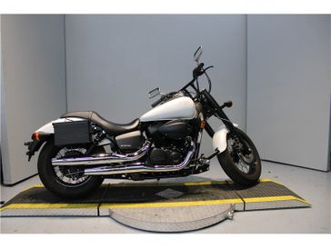 2019 Honda Shadow