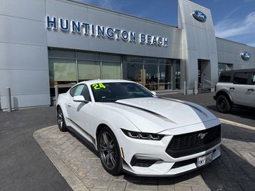 Used 2024 Ford Mustang EcoBoost