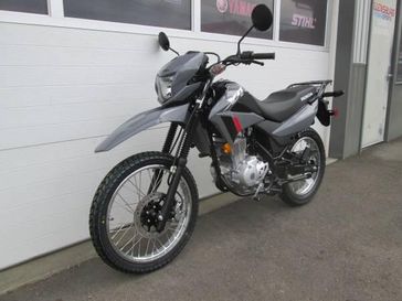 New 2025 Honda XR150LS 
