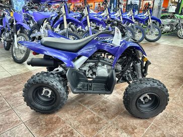 New 2026 Yamaha Raptor 110 