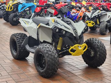 2024 Can-Am RENEGADE 2X4 110 EFI 