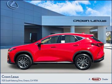 2025 Lexus NX 250