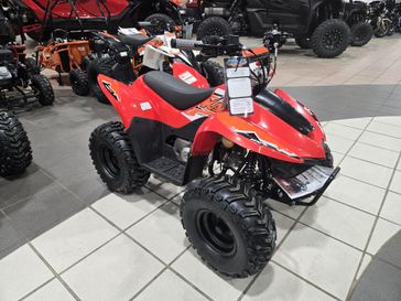 NEW 2025 KAYO STORM 70 