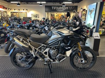 2025 Triumph Tiger 1200 Rally Pro