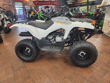 2024 Yamaha GRIZZLY 90