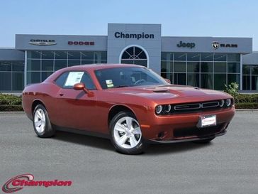 2023 Dodge Challenger SXT in a Sinamon Stick exterior color and HOUNDSTOOTHinterior. Champion Chrysler Jeep Dodge Ram 800-549-1084 pixelmotiondemo.com 