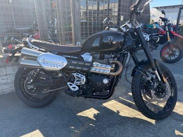 2024 Triumph SCRAMBLER 1200X