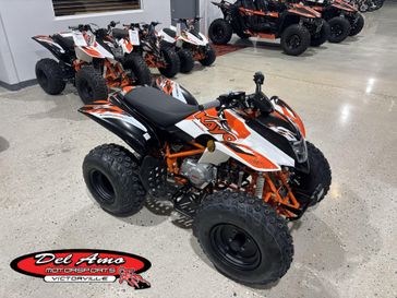 New 2026 Kayo STORM 150 EFI 
