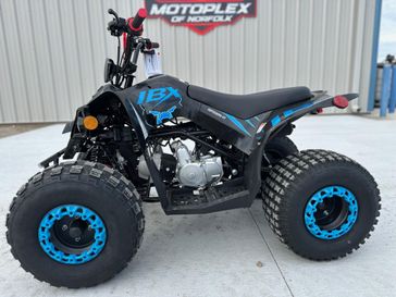 New 2026 Ice Bear Powersports GRZ125-D 