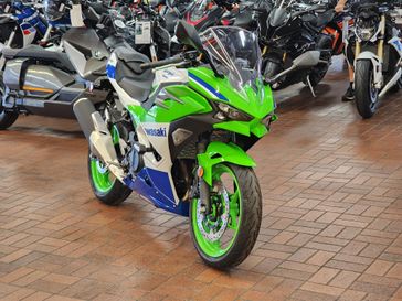 2024 Kawasaki Ninja 500 SE Anniversary Edition 