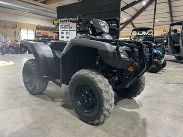 2025 Honda Foreman Rubicon 4x4 EPS 