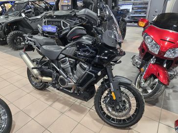 USED 2021 HARLEY PAN ANMERICA 1250 SPECIAL 