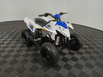 2024 Polaris OUTLAW 110 EFI 