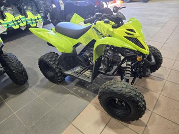 NEW 2026 YAMAHA RAPTOR 110 