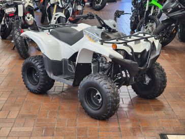 2024 Yamaha GRIZZLY 90