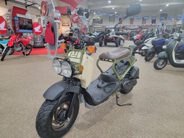 2024 Honda RUCKUS Base