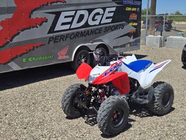 2026 Honda TRX250X