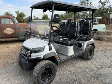New 2025 Epic Golf Carts EPIC E40FX 