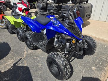 NEW 2026 YAMAHA RAPTOR 110 