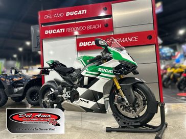 Used 2025 Ducati PANIGALE V4 TRICOLORE 
