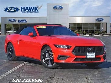2024 Ford Mustang 