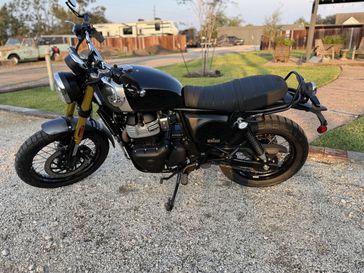 New 2025 Royal Enfield INT BEAR 650 