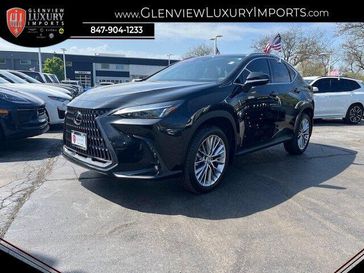 2024 Lexus NX 350 Premium