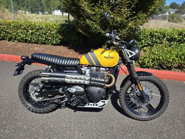 Used 2024 Triumph Scrambler 900 Euro 5a Base 