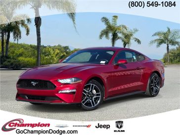 Used 2019 Ford Mustang EcoBoost Fastback