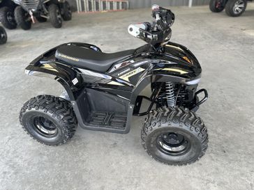 New 2026  Denago Powersports E HAWK 6 
