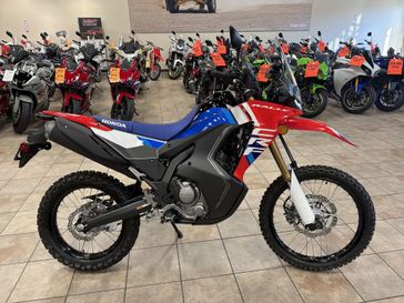 New 2025 Honda CRF300L RALLY 