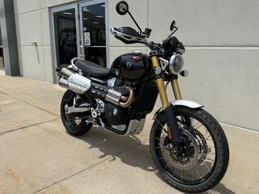 2025 Triumph SCRAMBLER 1200 XE