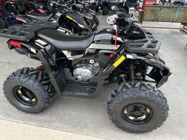 New 2026 Denago Powersports MUDHAWK 10FI 